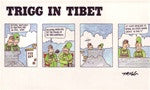 Trigg in Tibet - Neko-Chan Incense