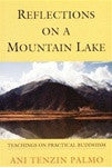 Reflections on a Mountain Lake - Teachings on Practical Buddhism - Neko-Chan Incense
