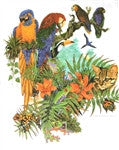 Tropical Birds, Size Large - Neko-Chan Incense